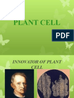 Plant Cell