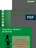Team Roles Theory 