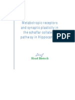 Metabotropic Receptors and Synaptic Plasticity in The Schaffar Collateral Pathway in Hippocampus