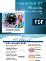 Evolution of Mitosis