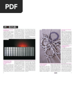 BookBinding Basics | PDF | Bookbinding | Papyrus