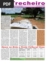 Jornal O Trecheiro fevereiro-março