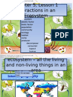 WG Powerpoint Ecosystems 1