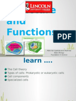 L1 - Cells Structure and Functions