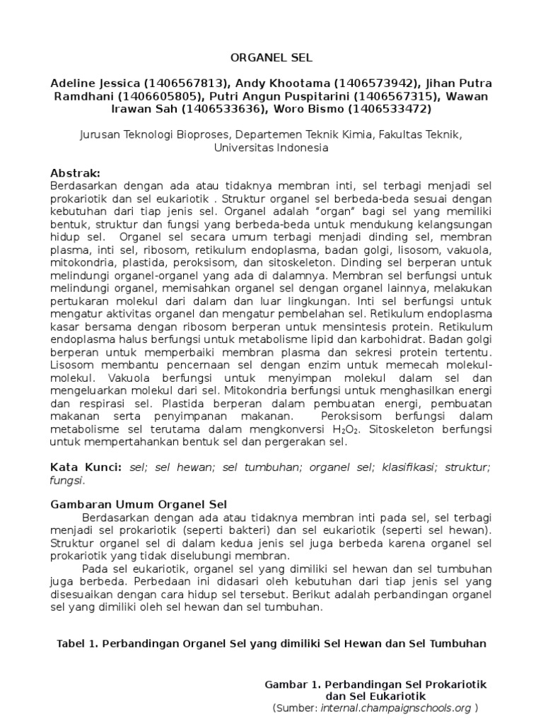 Makalah Organel Sel Kelompok 5