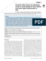 In High-Light-Acclimated Coffee Plants The Metabolic Machinery Is Adjusted To Avoid Oxidative Stress Rather Than To Benefit From Extra Light Enhancement in Photosynthetic Yield