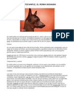 Xoloitzcuintle