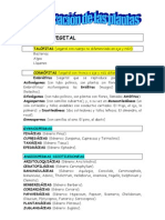 Clasificación de Las Plantas