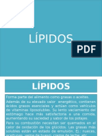 Lípidos