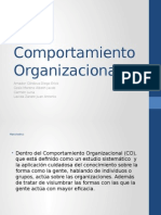 Comportamiento Organizacional equipo chilotime.pptx