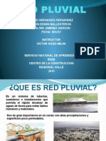 Red Pluvial