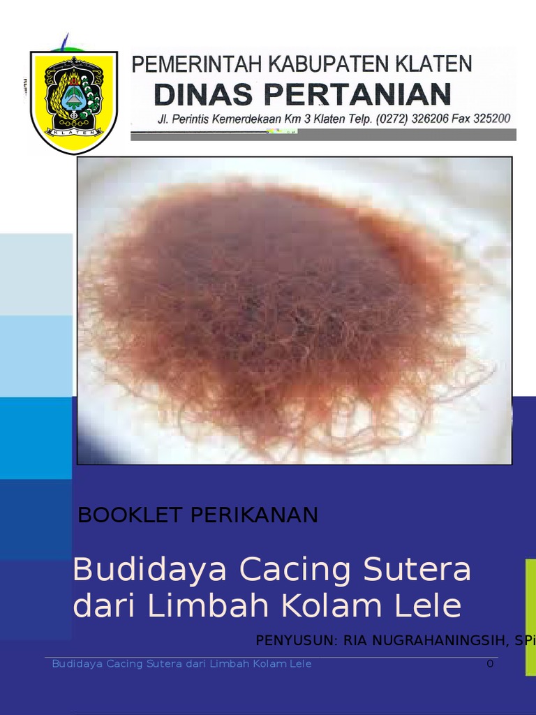 Booklet Cacing Sutera