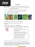 Download Protista by Ammar_Kapital_7210 SN28701605 doc pdf