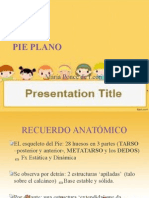 Pie Plano