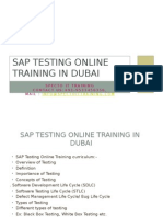 SAP TESTING Online Training in Dubai