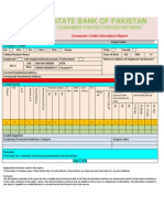 Consumer Credit Report Format