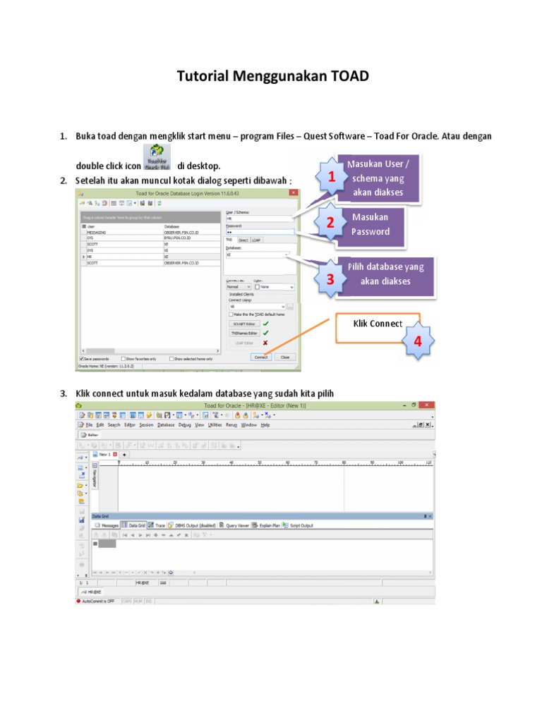 Tutorial Dasar Menggunakan TOAD | PDF