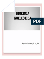 2015 Biokimia Nukleotida 
