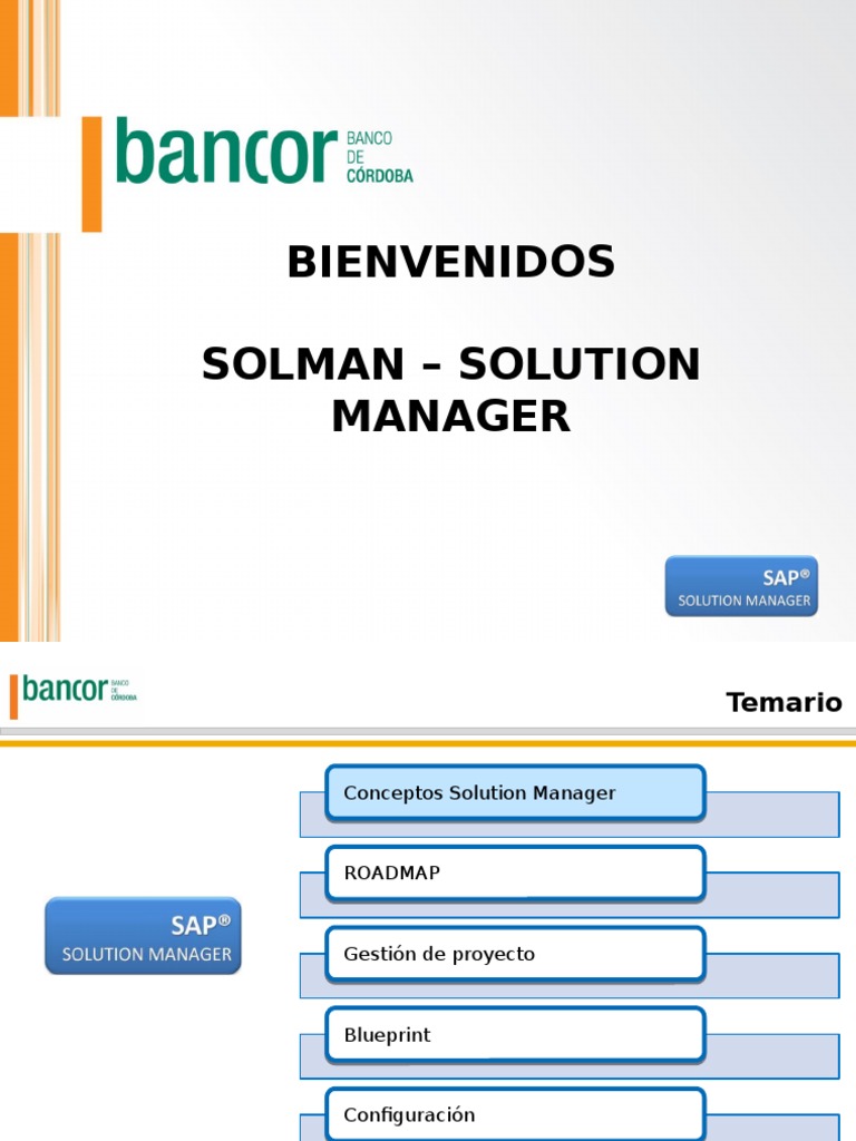 Capacitación SOLMAN | PDF | Sap Se | Software