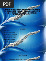 Download Penatalaksanaan Fisioterapi Pada Spinal Cord Injury by YudaPradepta SN287052183 doc pdf