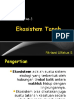 Ekosistem Tanah