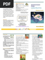 Guia Utilizador 1516