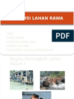 Definisi Lahan Rawa