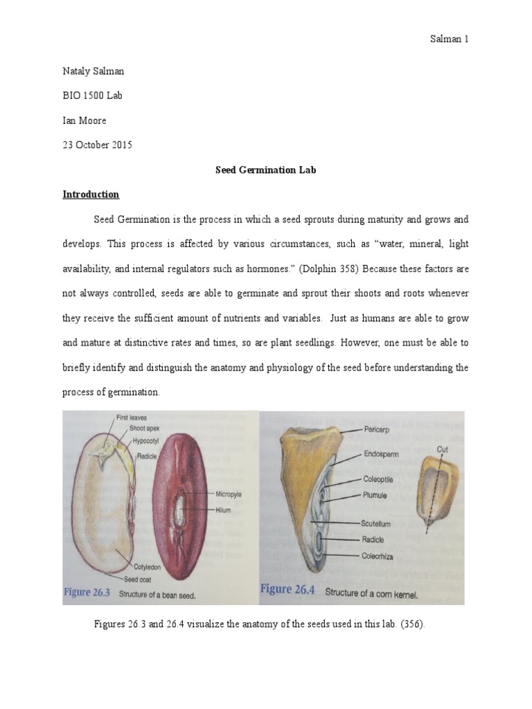 Bio 1500 Lab Report 1 Seed Germination
