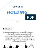 Modelos, Concepto y Tipos de Holding