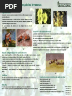 Trabalho CN - Invasoras