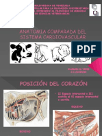 Anatomia Comparada Del Sistema Cardiovascular