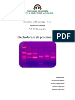 Eletroforese de GFP