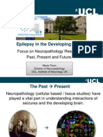 Epilepsy in The Developing Brain