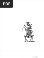 Educação Para o Século XXI