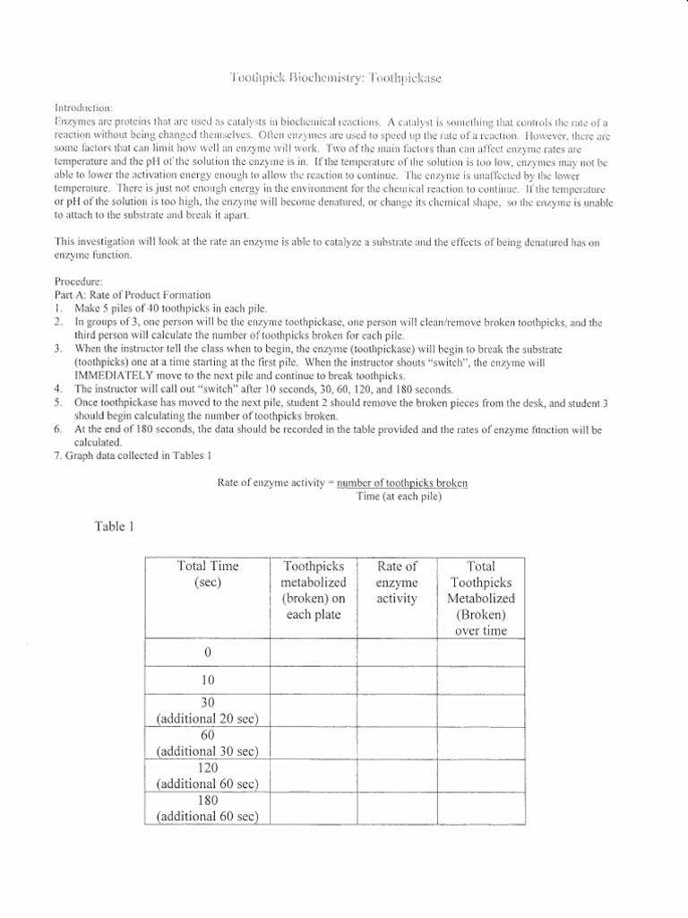 Toothpickase Enzyme Lab Denaturation (Biochemistry) Enzyme