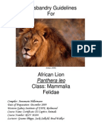 Husbandry Guidelines For: Panthera Leo