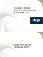 Elaboracion de Indicadores y Seguimiento de Proyectos