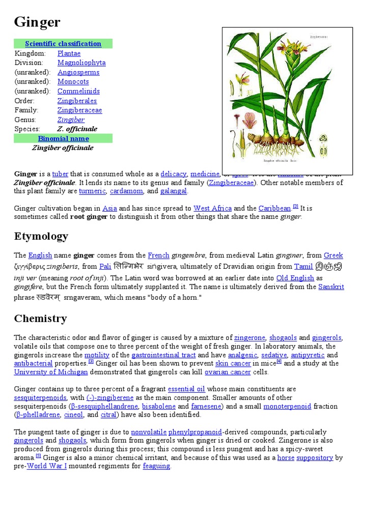 Ginger Pdf Ginger Cuisine