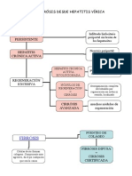 Evolución a Cirrósis Desde Hepatitis Vírica