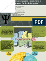 Corteza Cerebral. Prof. Clarisa