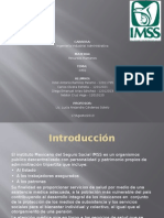 Presentacion IMSS.pptx