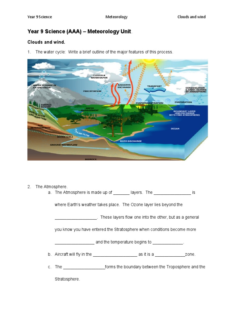 year 9 science worksheet