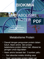 METABOLISME PROTEIN