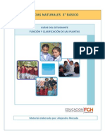 3ro_Estudiante_Funcion_clasificacion_plantas (2).pdf