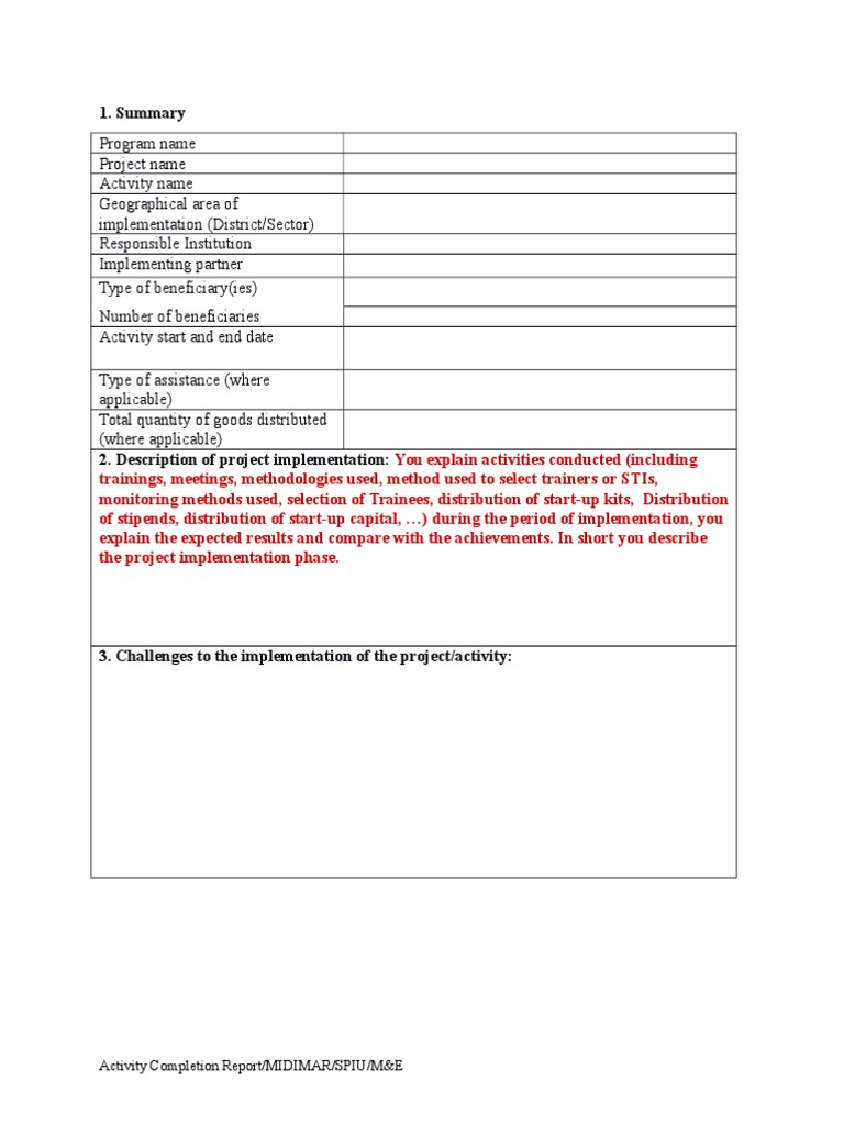 Project Implementation Summary | PDF