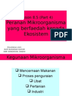 8.5 - Impak Mikroorganisma Terhadap Kehidupan