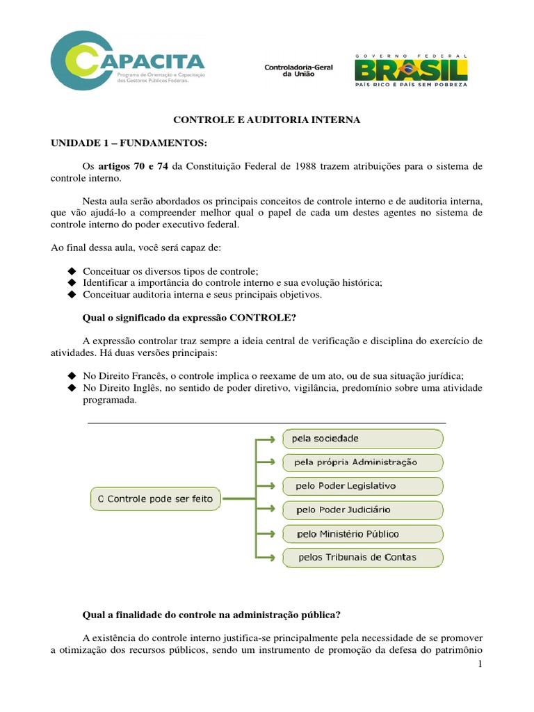 Curso de Controle e Auditoria Interna | PDF