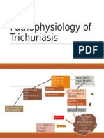 Pathophysiology of Trichuriasis
