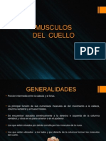 MUSCULOS DEL CUELLO Lateral, Prevertebral