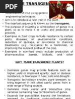 Transgenic Plants